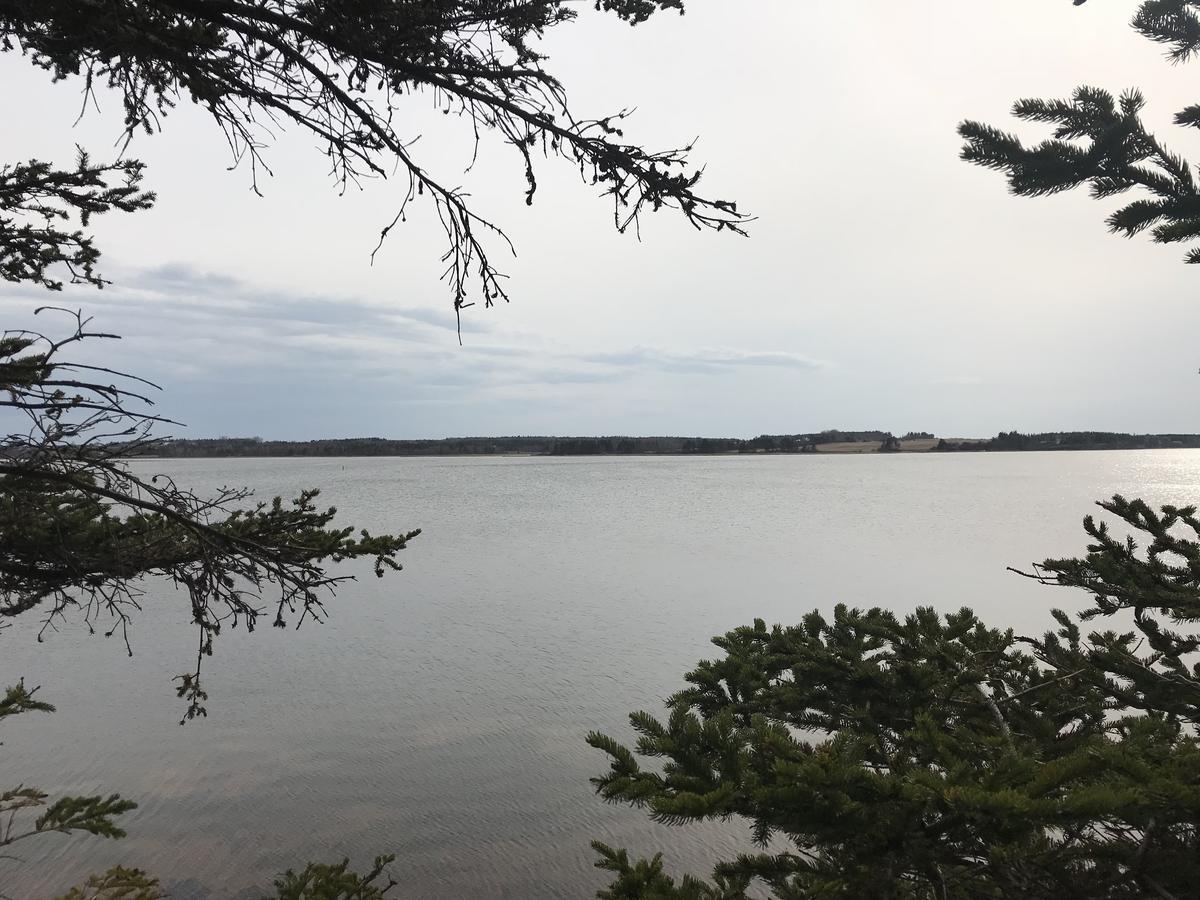 滨湾假日公园 Stanhope 外观 照片